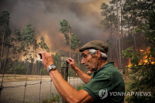포르투갈, 폭염에 하루 수십건 산불…"비상사태 선포"