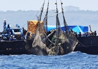 한달 전 오키나와서 침몰한 자위대 헬기 인양…블랙박스 회수