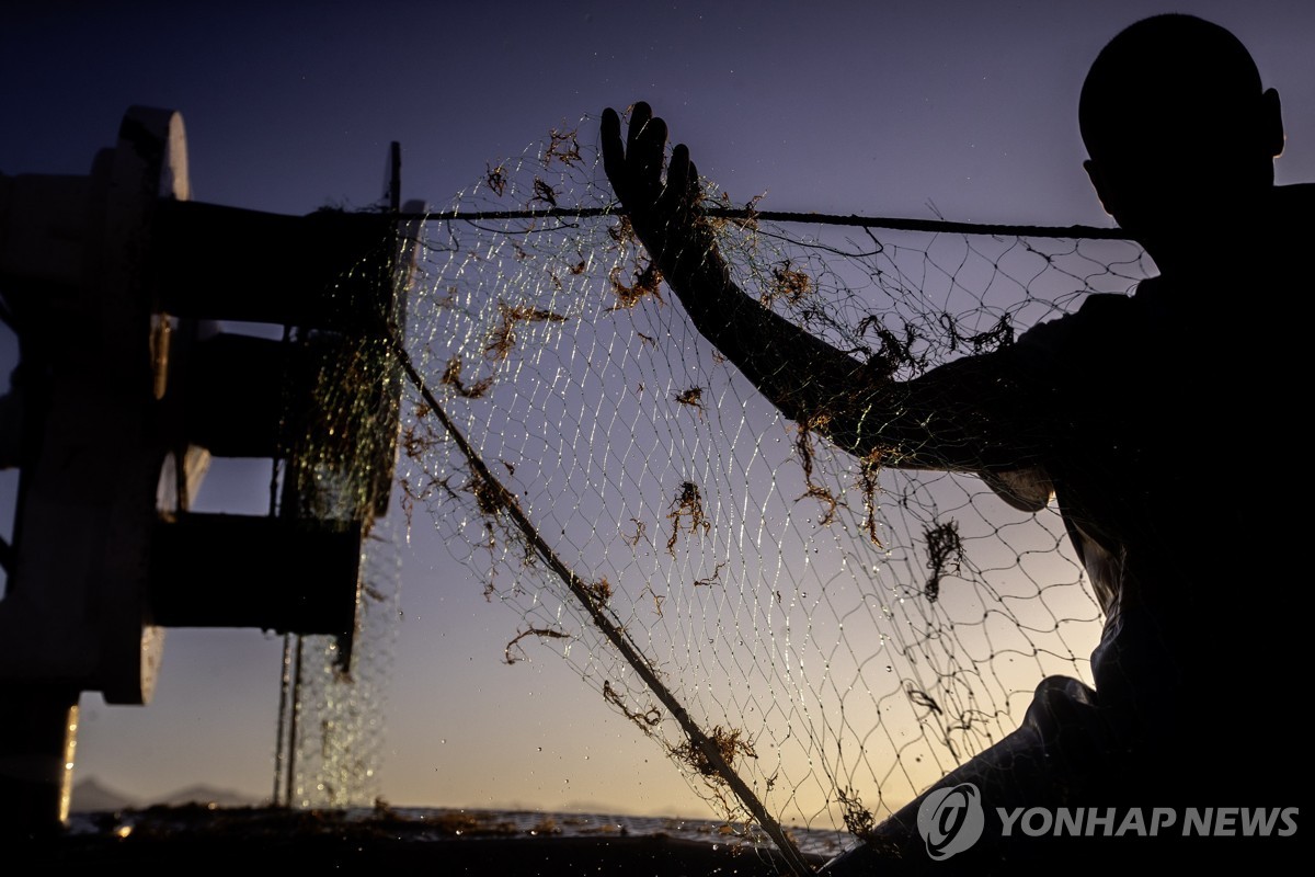 전장에 펼쳐진 고기잡이용 그물…우크라, '러 드론 위협…