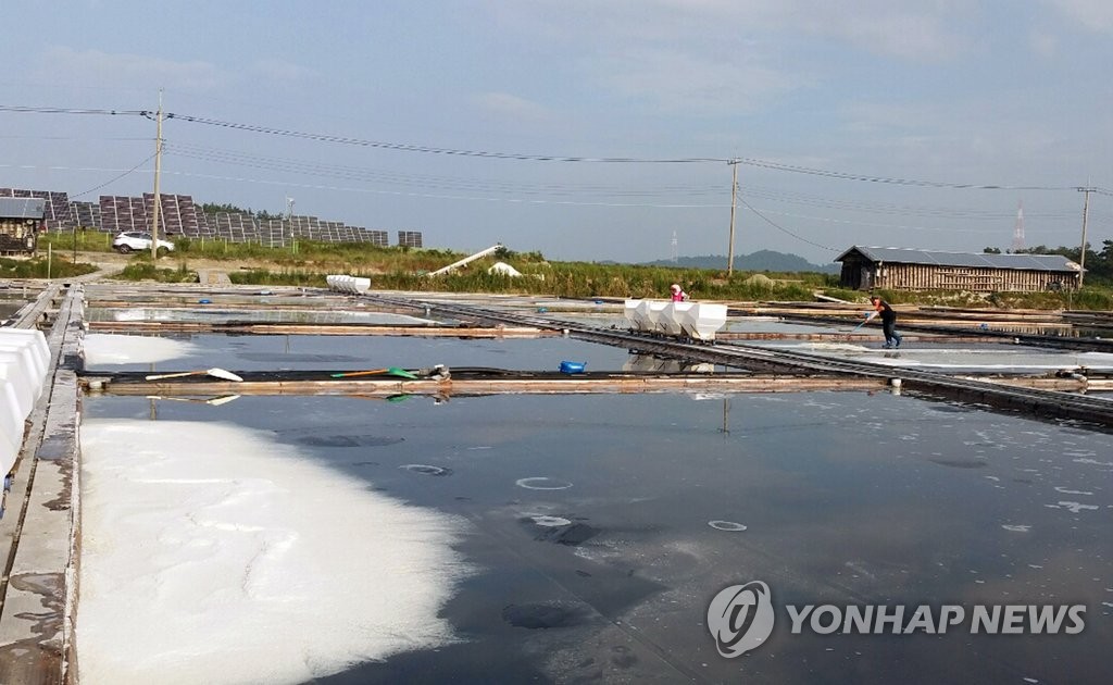 천일염이 비위생적이라고…생산자단체 화났다 | 연합뉴스