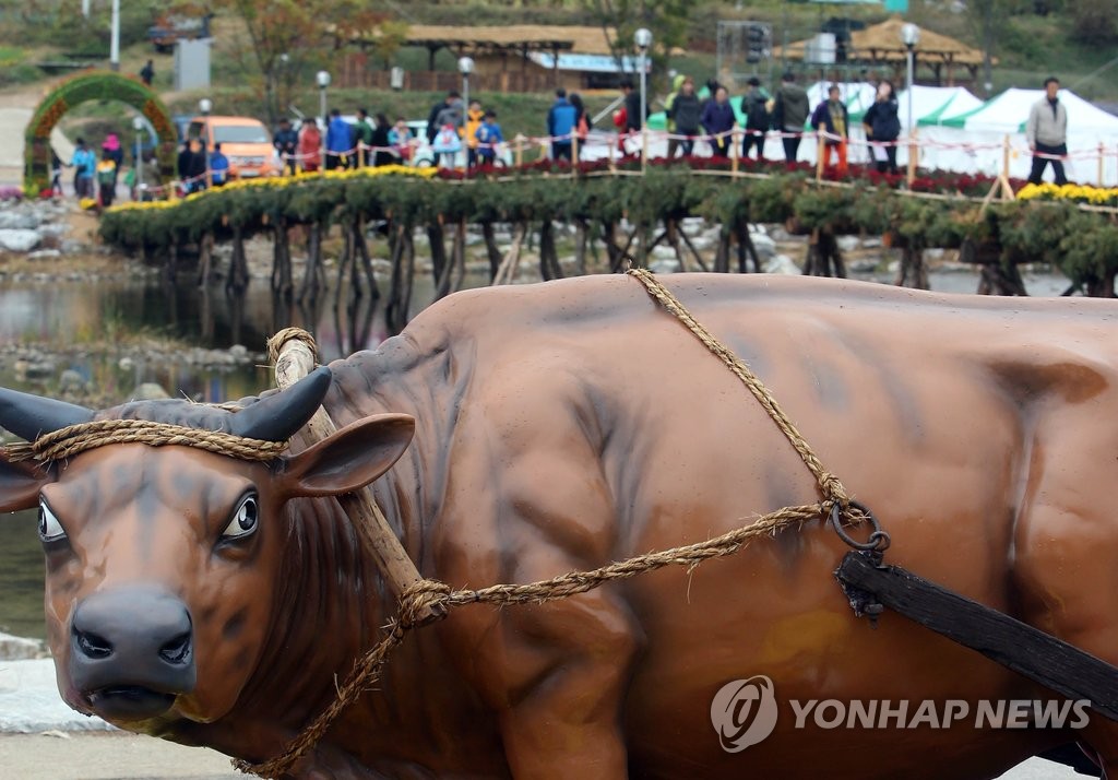 횡성한우 체험공간 섬강감성문화마을 내달 착공 | 연합뉴스