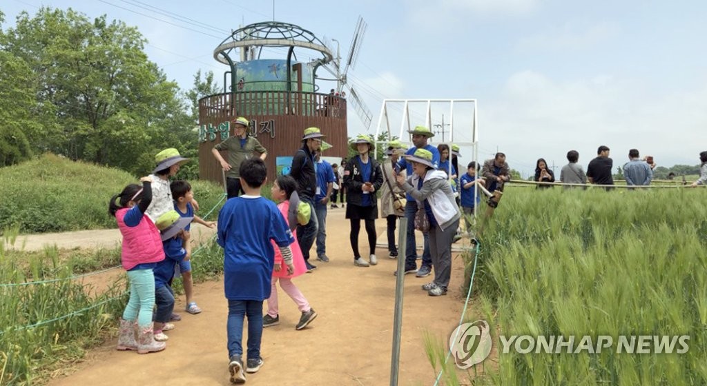 고창에서 열린 세계인 행복체험 | 연합뉴스
