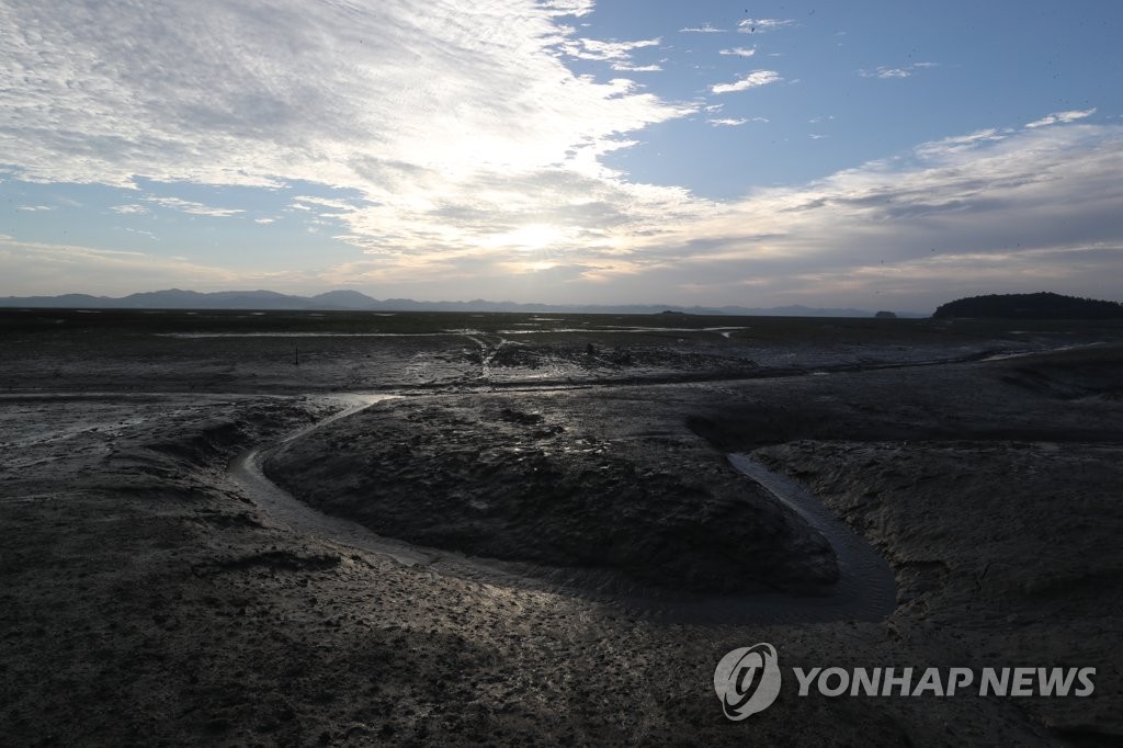 생물 다양성의 보고 무안갯벌 | 연합뉴스