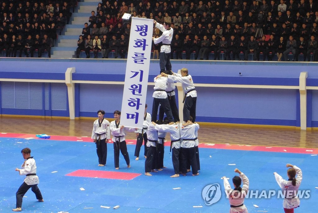 昨年１０月３１日、平壌で演武を披露する韓国のテコンドー演武団。「平和を願って」と書かれた幕をかかげている＝（聯合ニュース）
