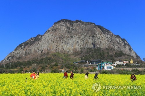 Primavera en la isla de Jeju