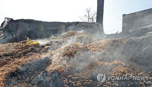 농사·일터 잿더미 된 이재민들 "그래도 살아야지요"