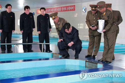NK leader inspects fish farm