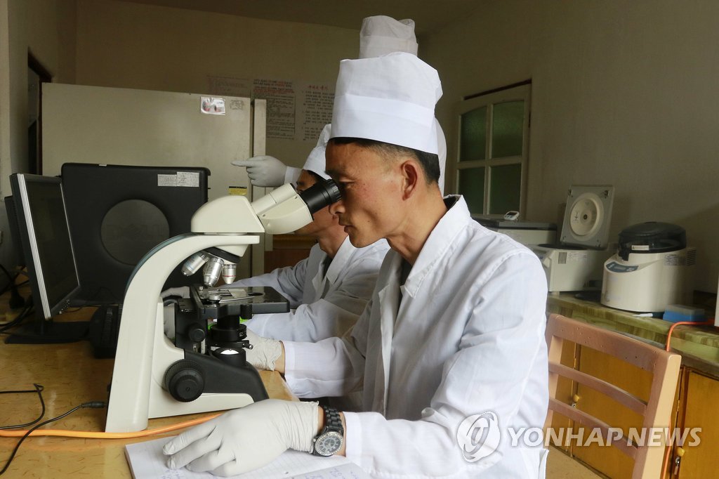 아프리카돼지열병 검사하는 북한 수의학연구소 연구원