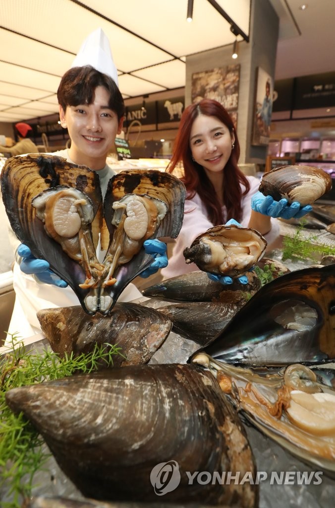 real giant clam shell for sale
