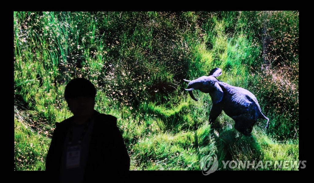 This file photo taken on Jan. 6, 2020, shows a visitor looking at LG Electronics Inc.'s Micro LED TV at the company's Consumer Electronics Show (CES) booth in Las Vegas, Nevada. (Yonhap)