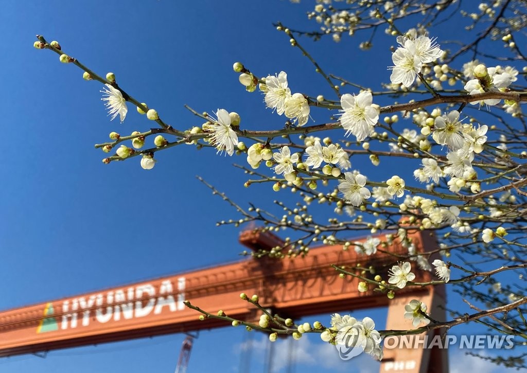 Hyundai Heavy to stage partial strike for higher pay