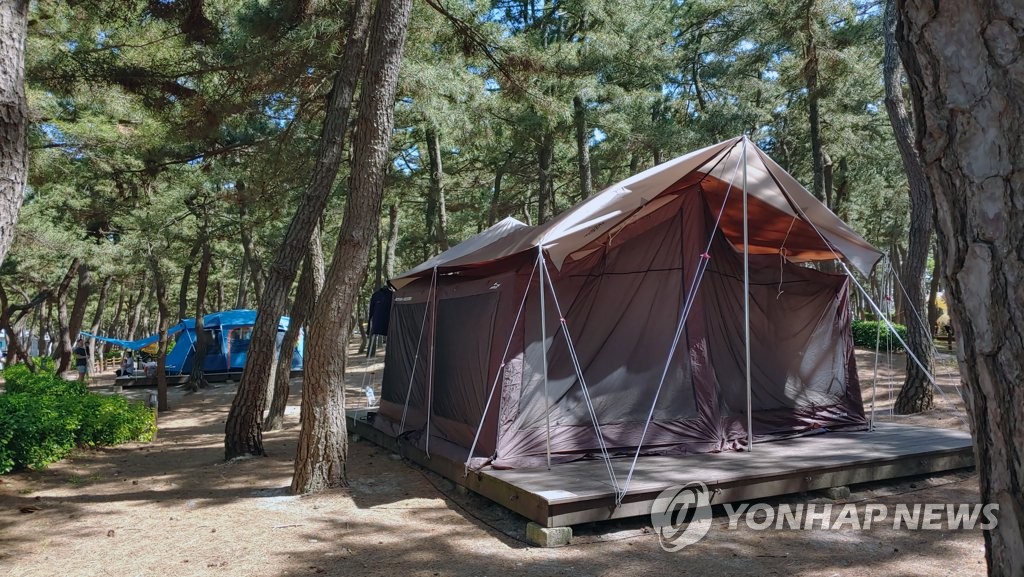 강릉 솔향기 캠핑장 