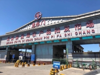 중국, 코로나 확진자 발생한 미 가공업체 닭고기 수입중단