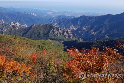 강원 동해안 '추캉스' 인파…울긋불긋 가을산 단풍객 북적 | 연합뉴스