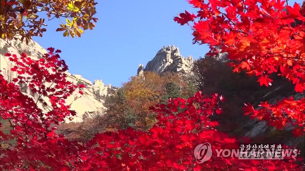 金剛山の紅葉 聯合ニュース