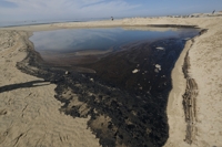 기름 유출 사고로 오염된 미 캘리포니아 해변