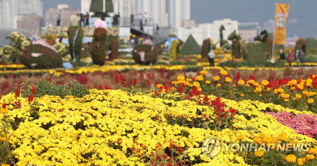This file photo is from the 2021 Masan Chrysanthemum Festival held in Changwon, South Gyeongsang Province. (Yonhap)