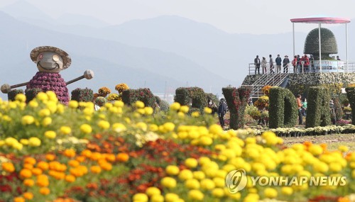 바다 배경 12만송이 국화 활짝…마산국화축제 10월 29일 개막