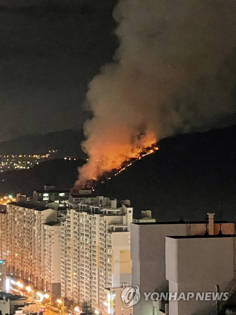 부산 아파트 인근 산불