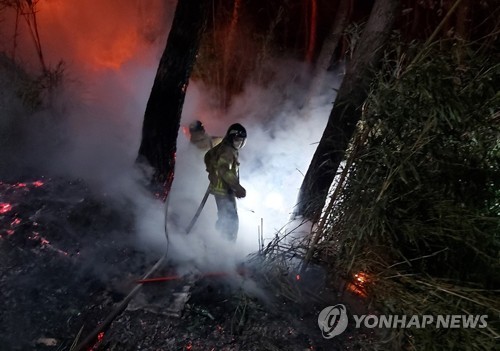 경북 포항 야산에 방화 추정 화재…31분만에 진화
