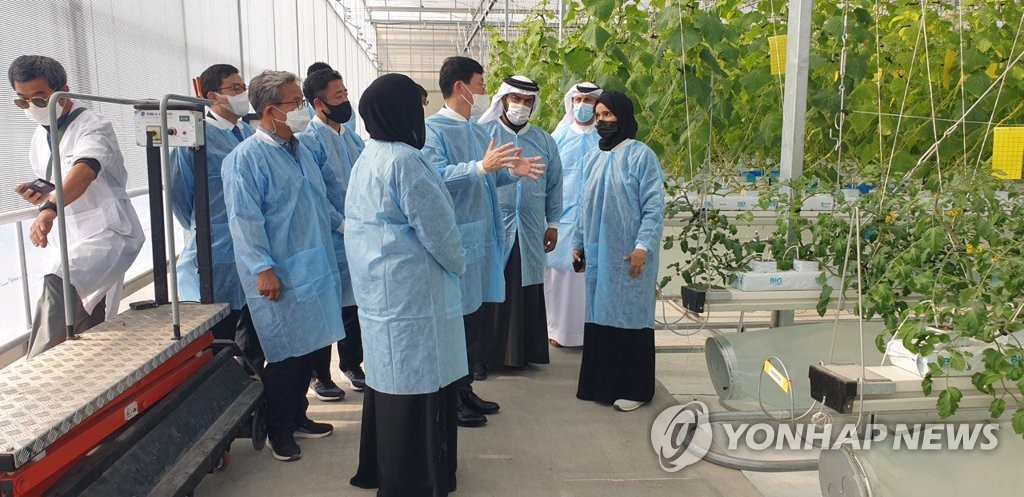 مسؤول حكومي كبير يزورالبيوت البلاستيكية الزراعية الذكية القائمة على التقنيات الكورية بالإمارات
