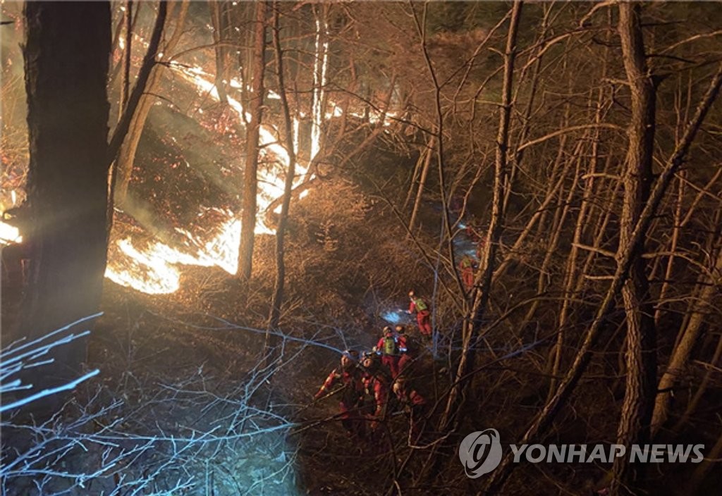 This photo provided by the Korea Forest Service on March 1, 2022, shows firefighters trying to put out a wildfire in Hapcheon County, South Gyeongsang Province. (PHOTO NOT FOR SALE) (Yonhap)