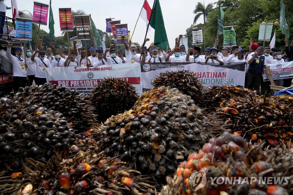 '팜유 수출금지 철회하라' 시위 나선 인도네시아 농민들
