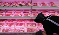 수입 육류가격지수 1년새 39% 올라…소고기 56%·돼지고기 14%↑