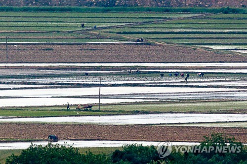 北朝鮮の食糧難深刻化　コロナで外部からの搬入減少＝韓国統一部