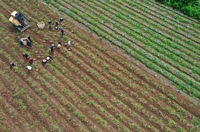 추석 성수품 수급 원활하게…농식품부, 농촌 인력지원 확대