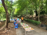 해남 말벌 현장