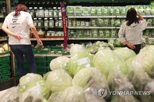 서울 시내 한 대형마트 채소 판매대. [연합뉴스 자료사진]