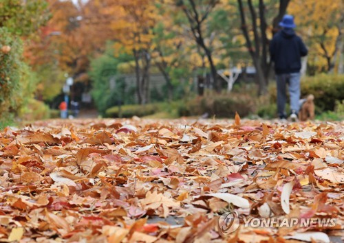 가을비 향기