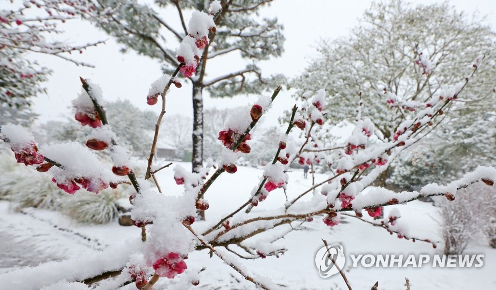 Fuerte nevada en Jeju