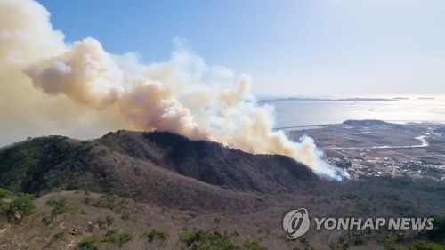 韓国北西部で山火事
