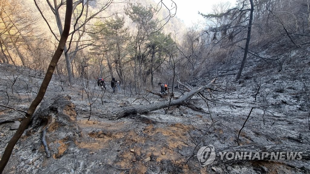 화천 산불...모두 타버린 산림