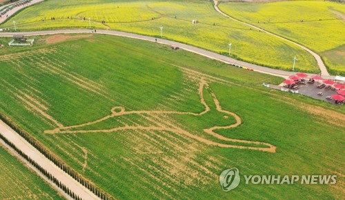 초록으로 물든 호밀밭에 그려진 토끼