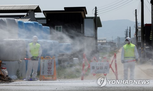 청주 한우농장 구제역 추가 발생…4곳으로 늘어(종합)