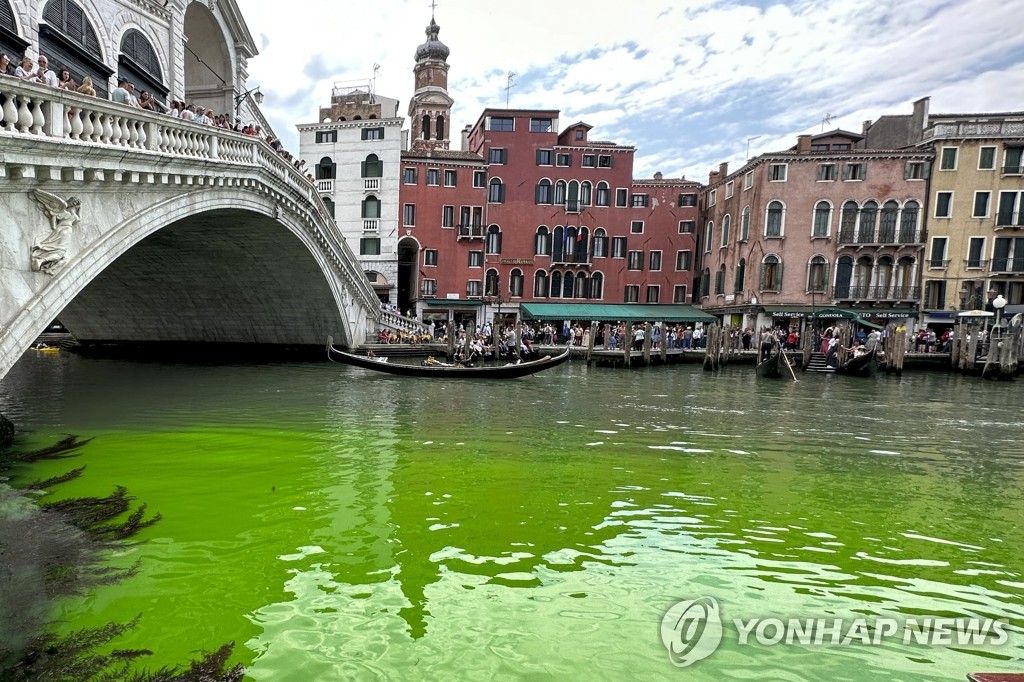 녹색으로 물든 이탈리아 베네치아 운하