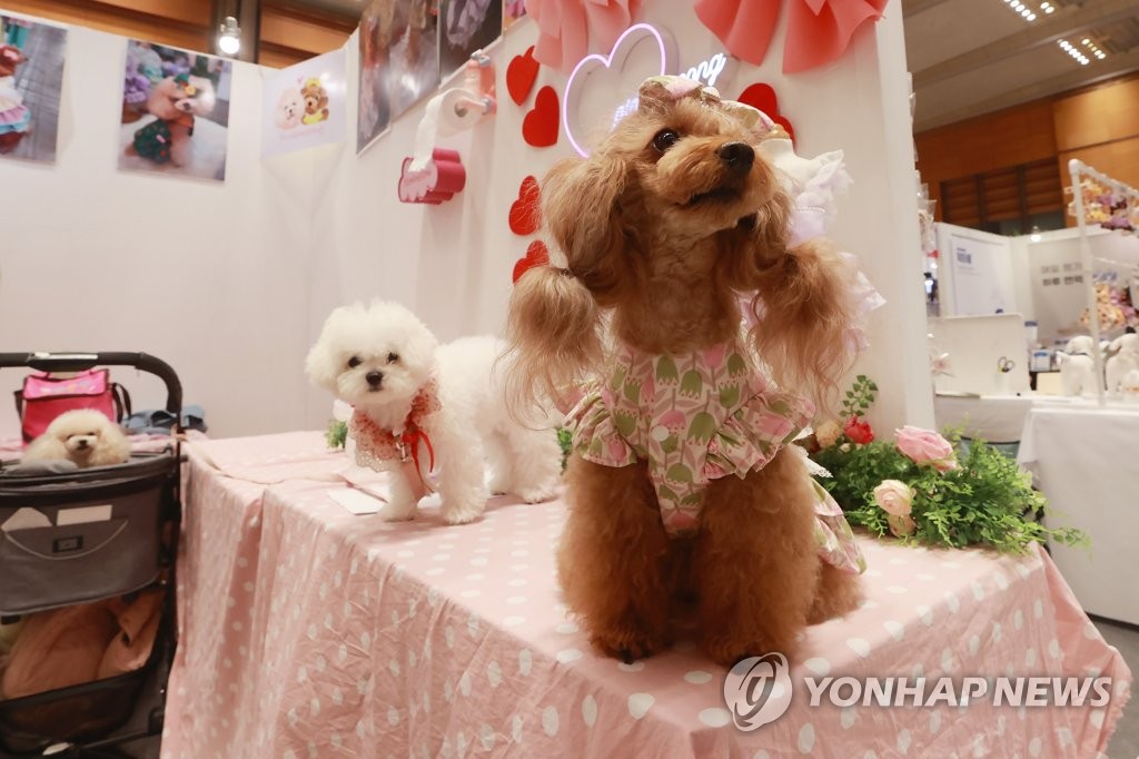 Pet market in sales korea