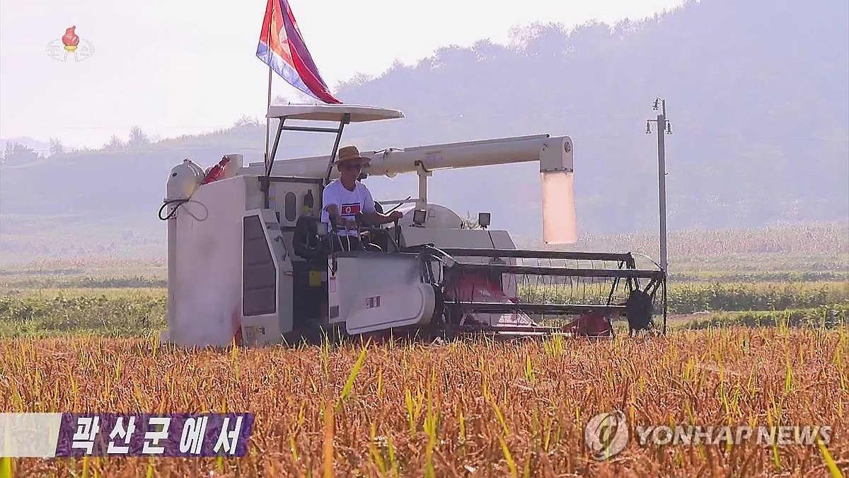 9월  2023년 2월 3일 북한 조선중앙TV에서 촬영한 이 파일 사진에는 북한 농민이 평안북도 한 지역에서 쌀을 수확하는 모습이 담겨 있다.  (대한민국에서만 사용. 재배포 금지) (연합)