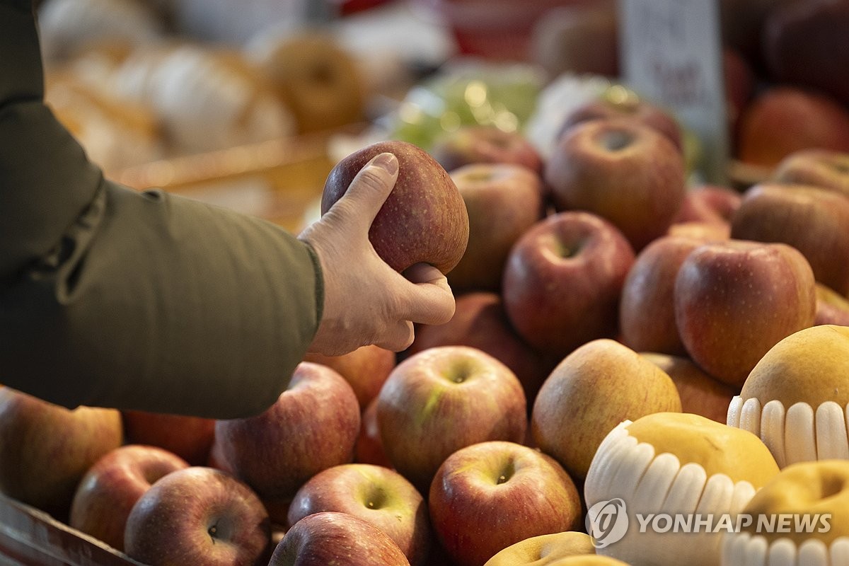 사과·배 등 주요 과일 고공 행진 전망