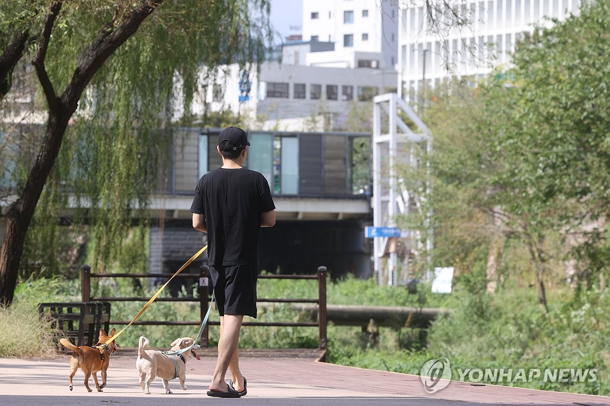 '댕댕이와 청계천 산책' 연말까지 가능해요…시범사업 연…