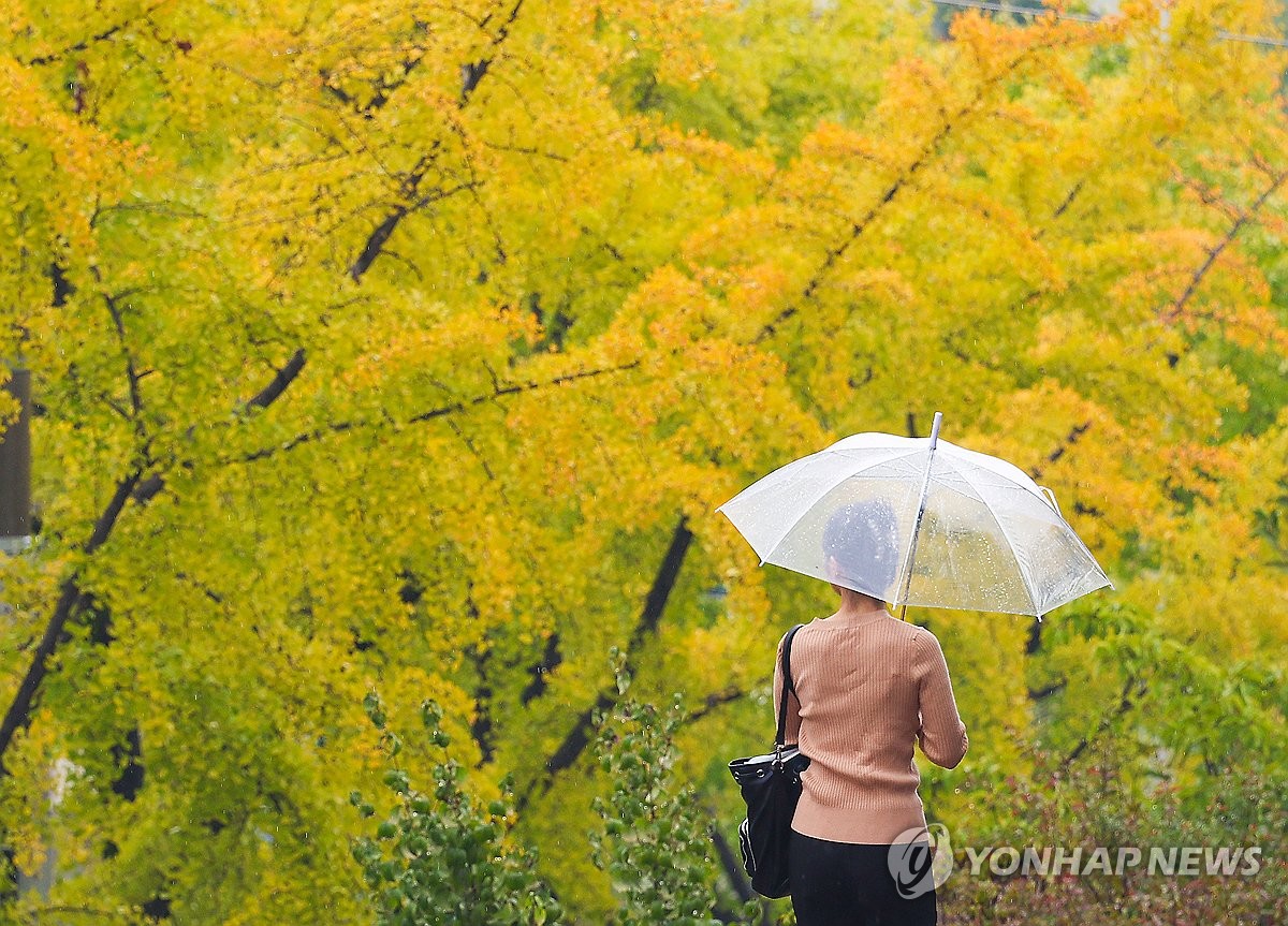 [날씨] Noisy autumn rain… Cloudy, rain and wind in the south, gusty winds and heavy rain in Jeju