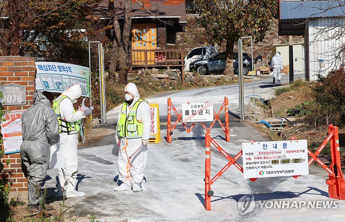 AI 항원 발생한 강화 종계 농장