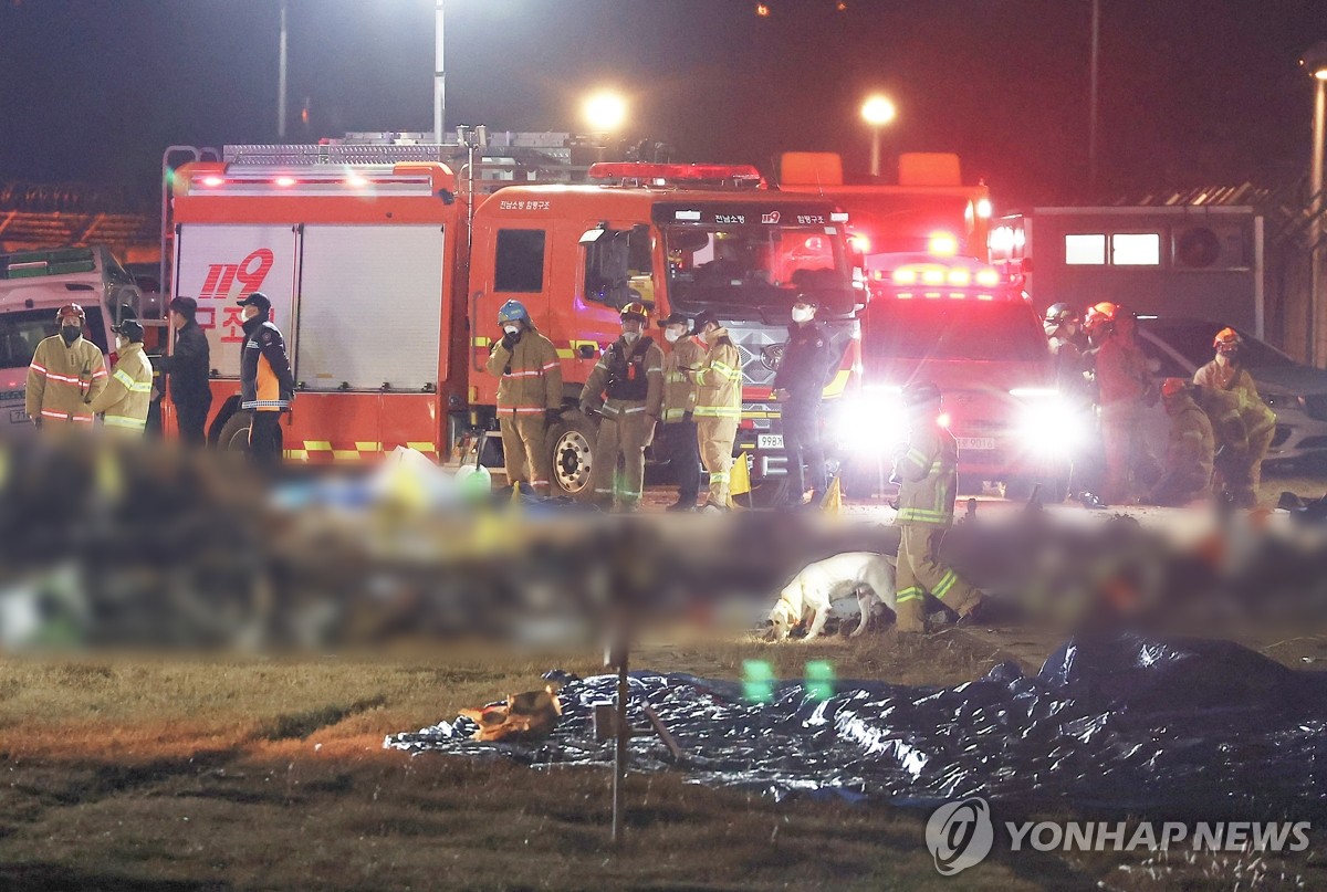 Las autoridades de extinción de incendios llevan a cabo operaciones de búsqueda en el lugar del accidente aéreo en el Aeropuerto Internacional de Muan en Muan, provincia de Jeolla del Sur, el 29 de diciembre de 2024. (Yonhap)