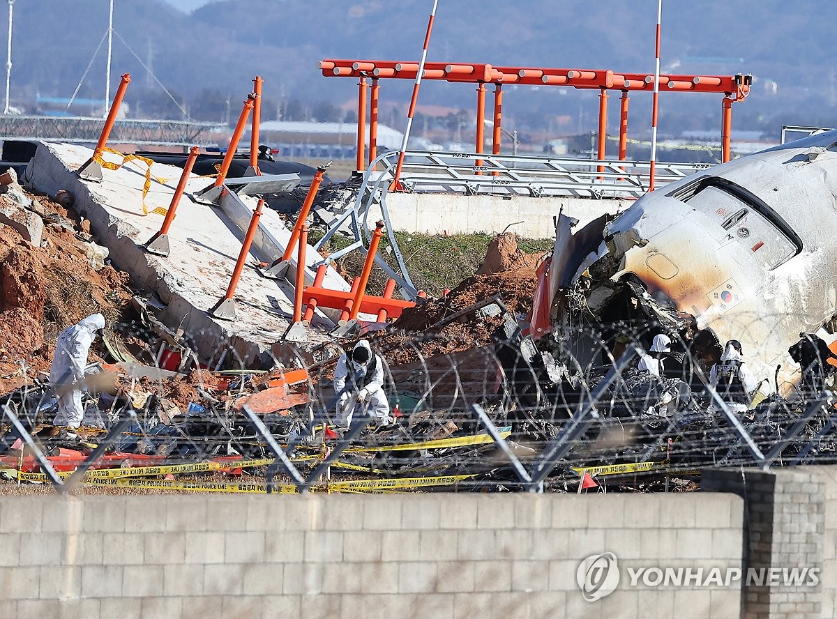 로컬라이저와 기체 주변 수색