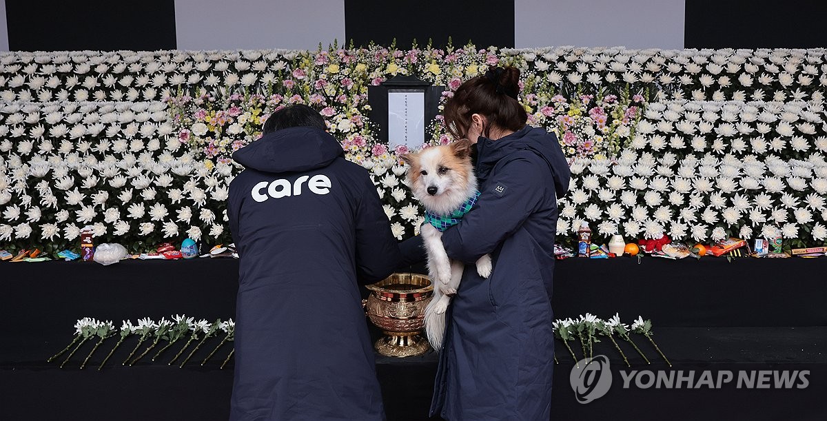 제주항공 참사 희생자 합동분향소 찾은 '푸딩이'