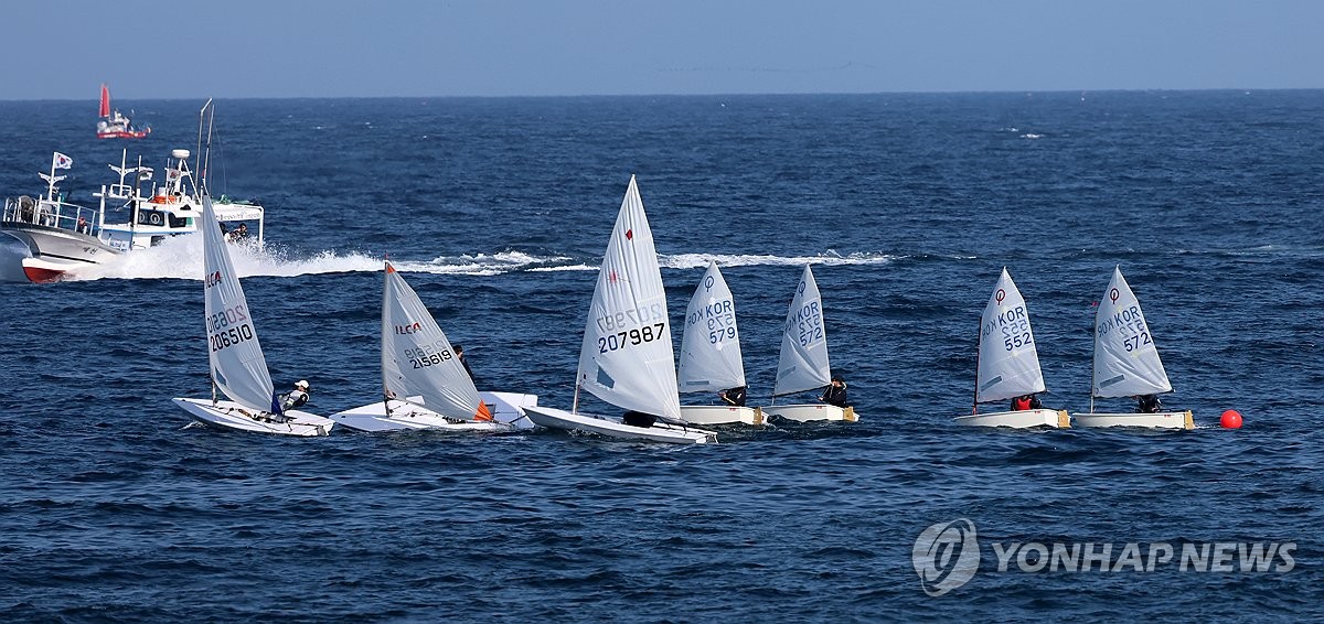"요트·서핑 배우세요" 강릉시, 해양스포츠 체험 프로그램 운영