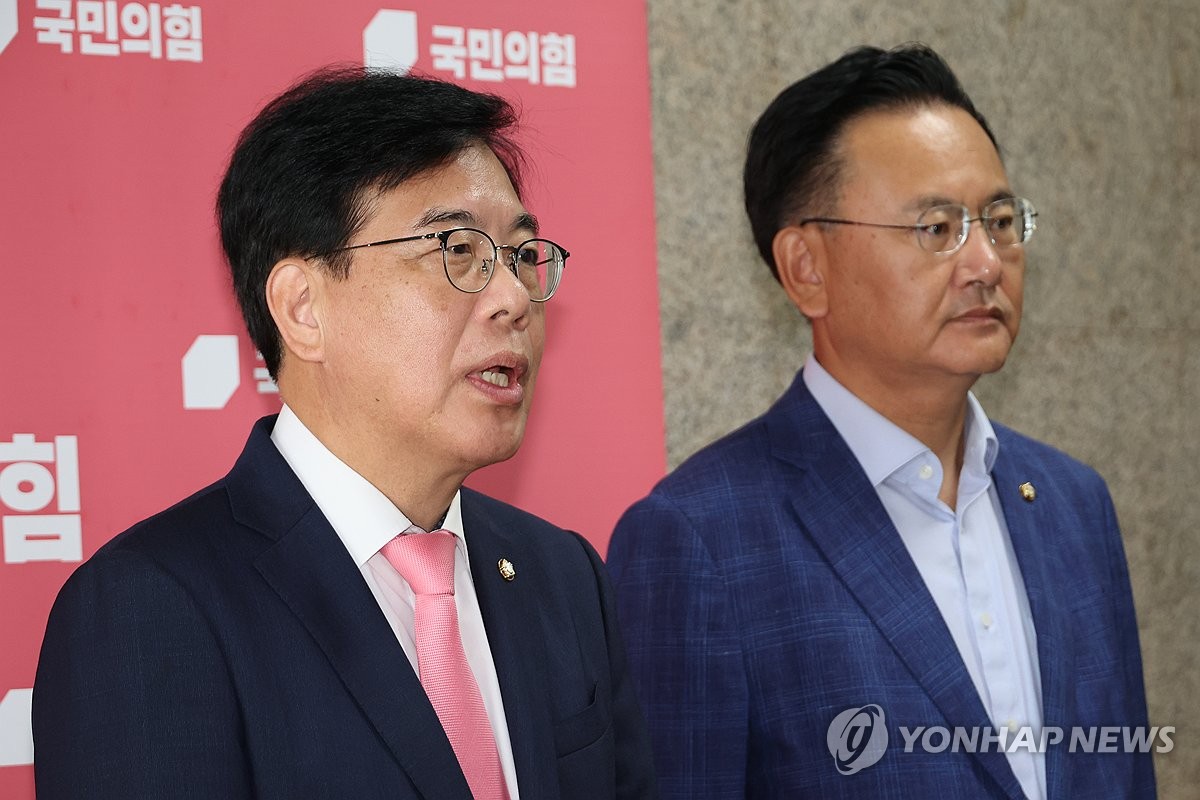 국힘, 